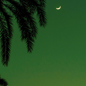 影音先锋激情电影
